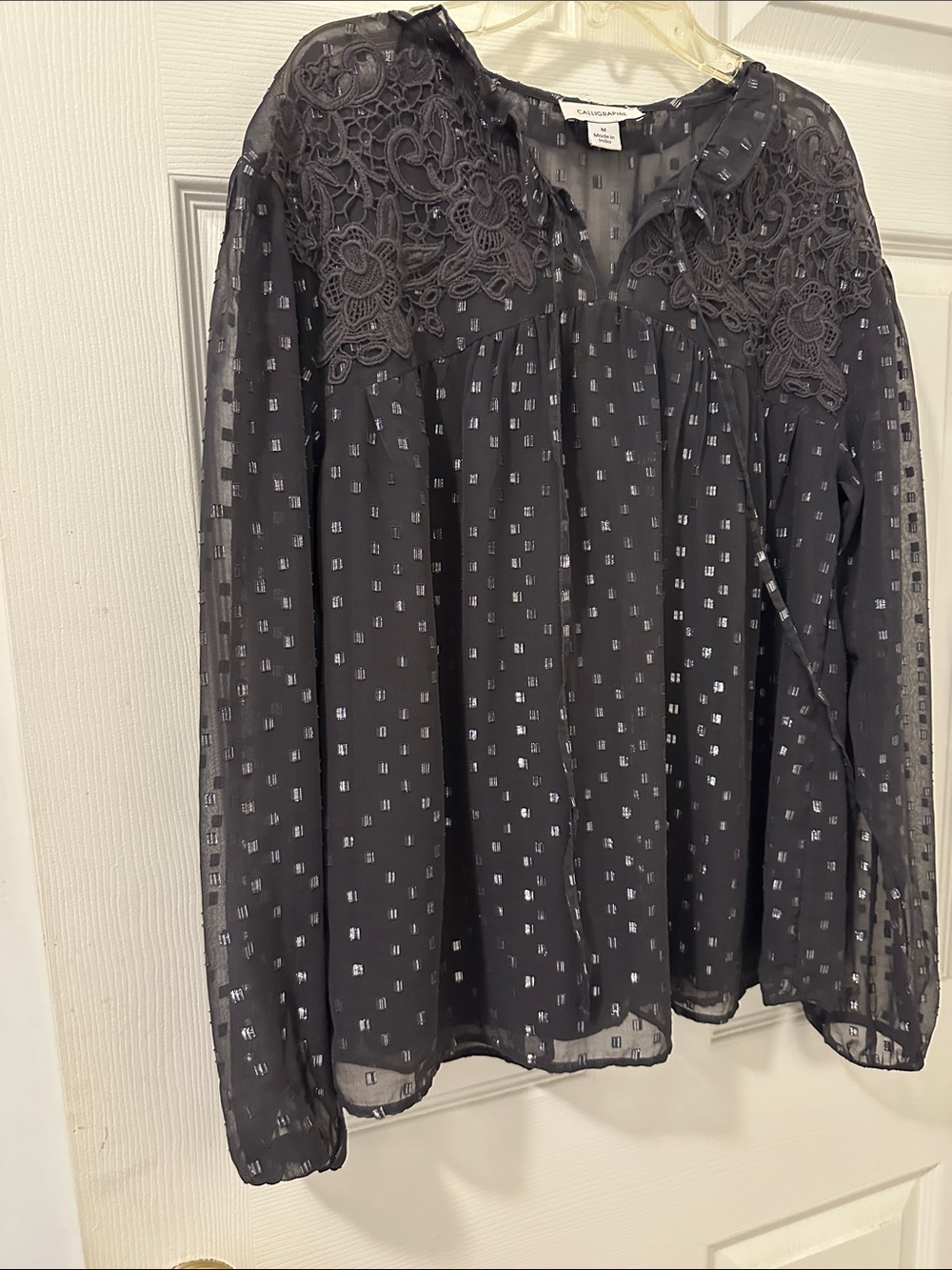 Pleione Black Long Sleeve Sheer Blouse with Lace Yoke NWOT